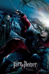 Гарри Поттер и Кубок огня