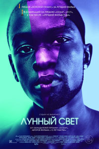 Лунный свет