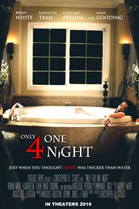 Только на одну ночь