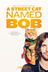 Уличный кот по кличке Боб