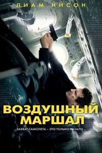 Воздушный маршал